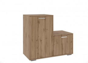 Обувницы в Радужном