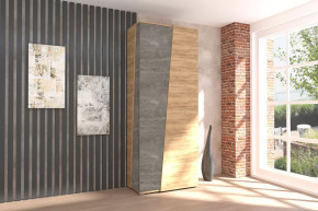 Аллегро-10 Шкаф двухдверный Диал в Радужном - raduzhnyj.mebel-tymen.ru | фото