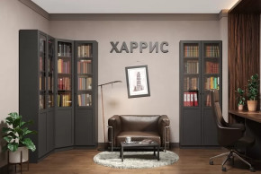 Библиотека Харрис в Радужном - raduzhnyj.mebel-tymen.ru | фото
