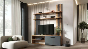 Гостиная Каролина Дуб Вотан/Графит в Радужном - raduzhnyj.mebel-tymen.ru | фото