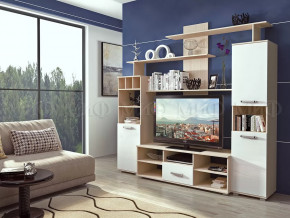 Гостиная Мини-2 в Радужном - raduzhnyj.mebel-tymen.ru | фото