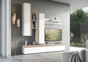 Гостиная НАО-Моно №1 в Радужном - raduzhnyj.mebel-tymen.ru | фото