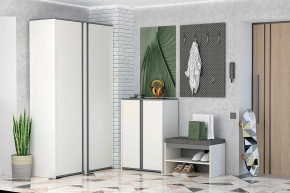 Иннэс-12 Прихожая №2 Диал в Радужном - raduzhnyj.mebel-tymen.ru | фото