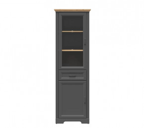 JASMIN шкаф REG1W1D1S (Графит/ Дуб артизан) в Радужном - raduzhnyj.mebel-tymen.ru | фото