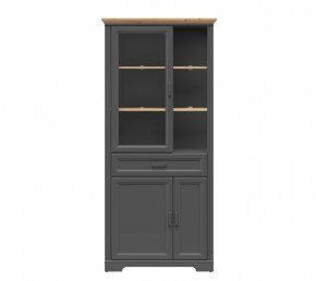 JASMIN шкаф REG1W2D1S (Графит/ Дуб артизан) в Радужном - raduzhnyj.mebel-tymen.ru | фото