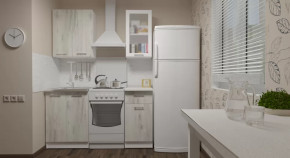 Кухонный гарнитур Алина мини 1000 мм в Радужном - raduzhnyj.mebel-tymen.ru | фото