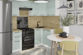 Кухонный гарнитур Лиора оптима 5 1200х2000 мм в Радужном - raduzhnyj.mebel-tymen.ru | фото