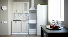 Кухонный гарнитур Лира мини 1000 мм в Радужном - raduzhnyj.mebel-tymen.ru | фото