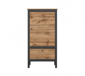 LOFT шкаф REG1D1S/60 (Дуб вотан/Черный) в Радужном - raduzhnyj.mebel-tymen.ru | фото