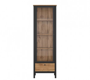 LOFT шкаф REG1W1S (Дуб вотан/Черный) в Радужном - raduzhnyj.mebel-tymen.ru | фото