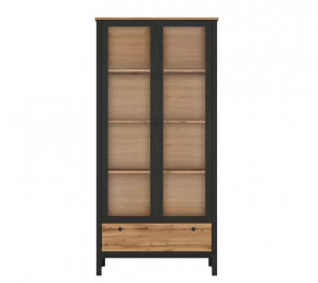 LOFT шкаф REG2W1S (Дуб вотан/Черный) в Радужном - raduzhnyj.mebel-tymen.ru | фото