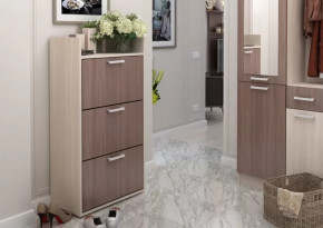 Обувница №2 Дели в Радужном - raduzhnyj.mebel-tymen.ru | фото