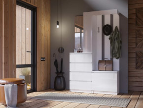 Прихожая Челси белый в Радужном - raduzhnyj.mebel-tymen.ru | фото