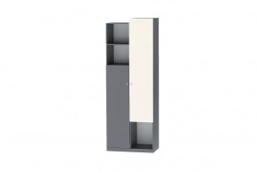 Шкаф Клео Шк-2, 800 мм, графит, миндаль Диал в Радужном - raduzhnyj.mebel-tymen.ru | фото
