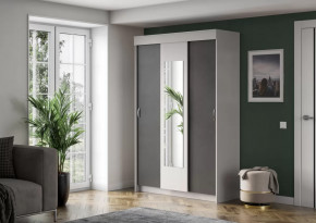 Шкаф-купе Бассо в Радужном - raduzhnyj.mebel-tymen.ru | фото