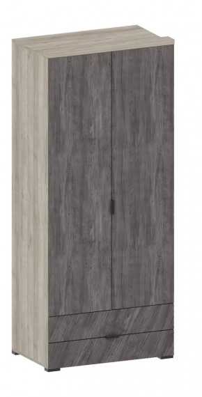 Шкаф Шаде ШК-2905 в Радужном - raduzhnyj.mebel-tymen.ru | фото