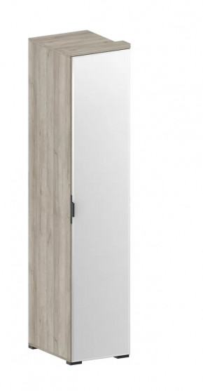 Шкаф Шаде ШК-2912 в Радужном - raduzhnyj.mebel-tymen.ru | фото