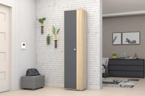 Шкаф ШК-01 Монако в Радужном - raduzhnyj.mebel-tymen.ru | фото