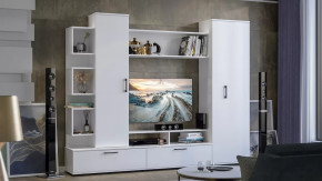 Стенка «Дакота» Белый Ясень в Радужном - raduzhnyj.mebel-tymen.ru | фото