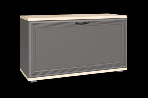 Тумба для обуви ТБ-1041 Карина в Радужном - raduzhnyj.mebel-tymen.ru | фото