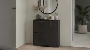 Тумба для обуви Тип 15 Антрацит в Радужном - raduzhnyj.mebel-tymen.ru | фото