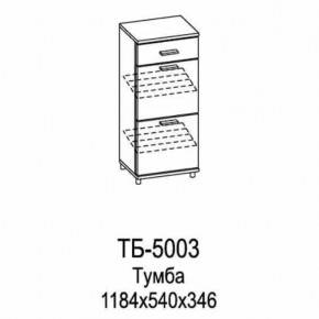 Тумба ТБ-5003 Грейс в Радужном - raduzhnyj.mebel-tymen.ru | фото