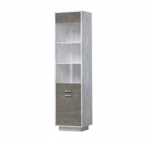 ЭГО ПС-1 Пенал с 2 дверьми 500 мм Диал в Радужном - raduzhnyj.mebel-tymen.ru | фото